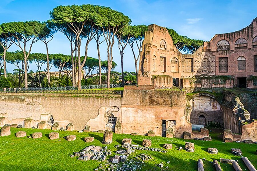 Rome: Guided Tour of Colosseum, Roman Forum & Palatine Hill - Roman Forum Stops: Turning Ruins Into a City That Worked