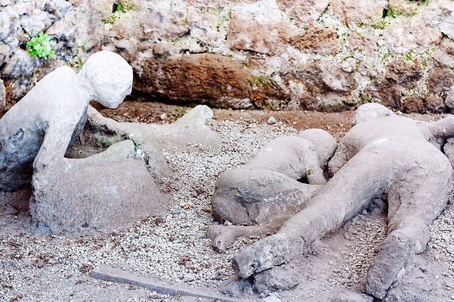 Rome: Pompeii and Naples Day Trip with Pompeii Entry Ticket - Price and value: what $98 buys you, and what you’ll cover yourself
