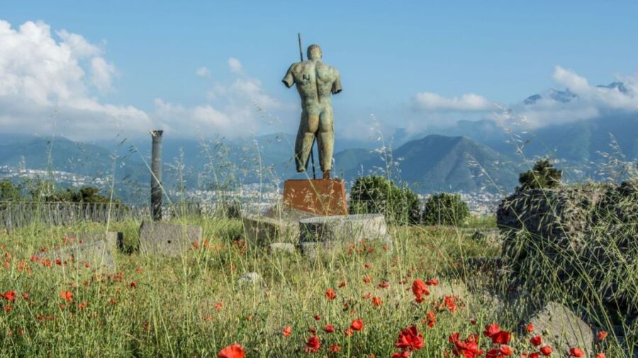 Rome: Pompeii Tour with Wine and Lunch by High Speed Train - Rome to Naples by High-Speed Train: Fast, Air-Conditioned, and Usually Smooth