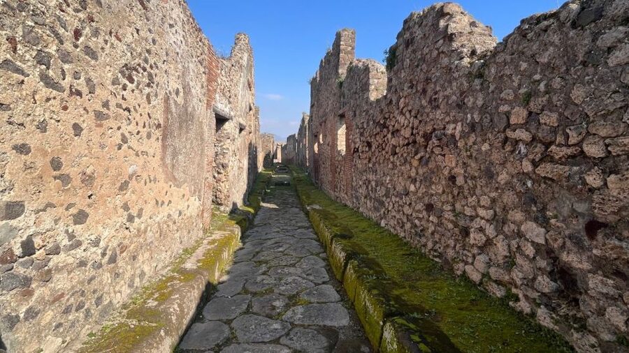 Rome: Pompeii Tour with Wine and Lunch by High Speed Train - Naples to Pompeii by Private Coach: Short Transfer, Less Fuss