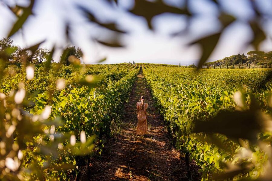 Rome: Private Countryside Wine Tasting Tour - Timing Tips for a Smooth Afternoon in Lazio