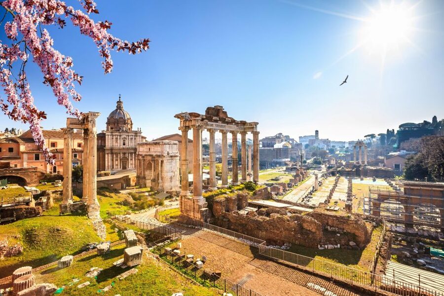 Rome: Roman Forum and Palatine Hill Licensed Guided Tour - Before you go: what to pack and what not to bring