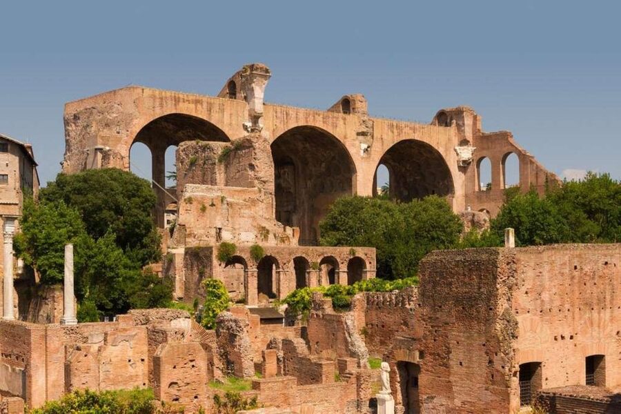 Rome: Roman Forum and Palatine Hill Licensed Guided Tour - Roman Forum: politics, commerce, and the public spaces that ran the city