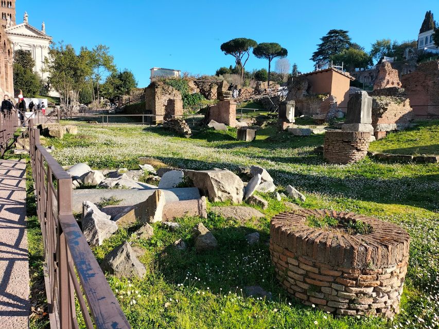 Rome: Roman Forum and Palatine Hill Licensed Guided Tour - Price and value: what $54 buys you in the Roman Forum
