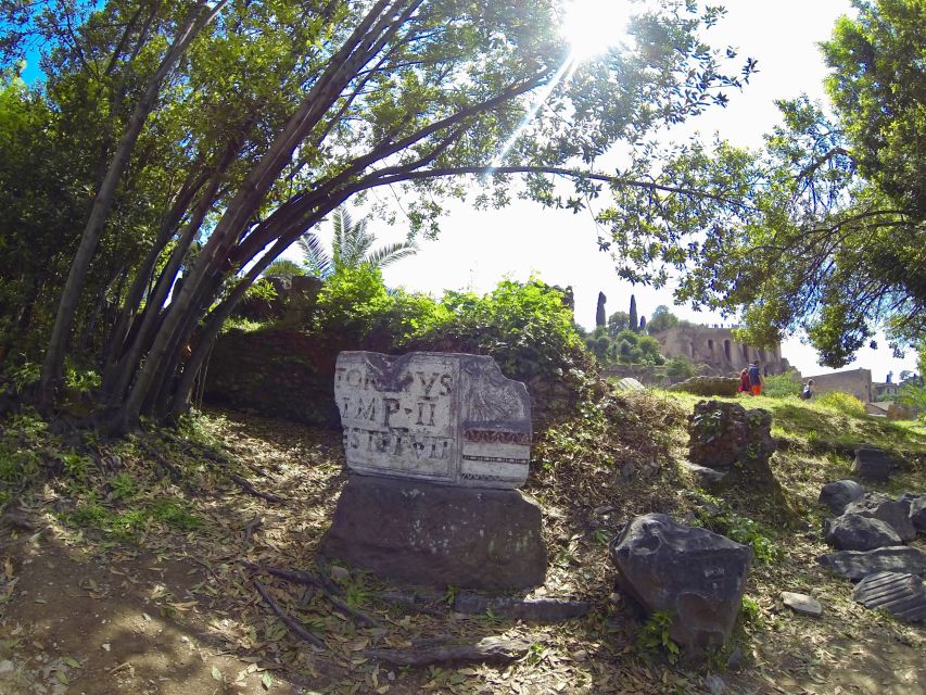 Rome: Roman Forum, Palatine, and Circus Maximus Tour - Price and value: what you’re really paying for