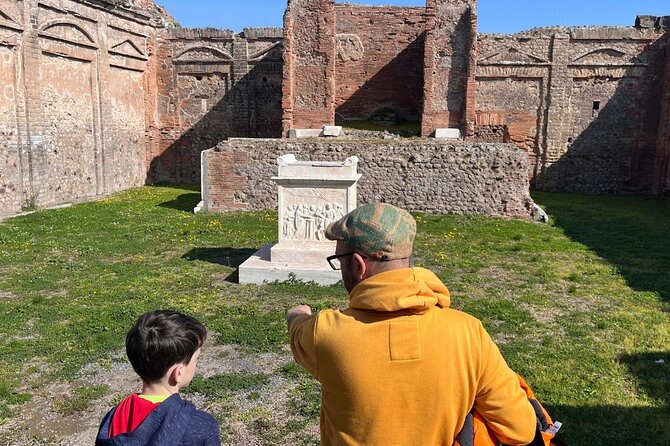 Rome to Pompeii Guided Tour with Wine & Lunch by High Speed Train - Price and what you’re really paying for