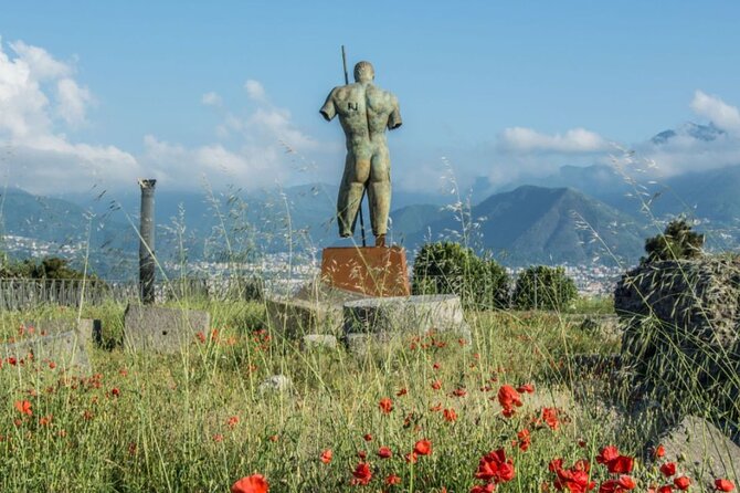 Rome to Pompeii Guided Tour with Wine & Lunch by High Speed Train - Who this tour fits best
