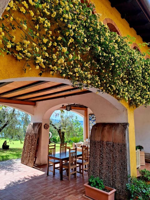 San Felice: Olive Oil Tasting with local food on Garda Hills - Key highlights to know before you go