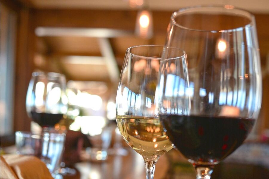 San Gimignano: Lunch or Dinner at a Winery with Wine Tasting - Who should book this and who should think twice