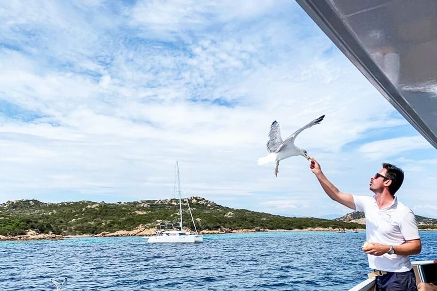 Sardinia: La Maddalena Archipelago Full-Day Trip by Boat - Santa Maria and its natural pools: where the day becomes special