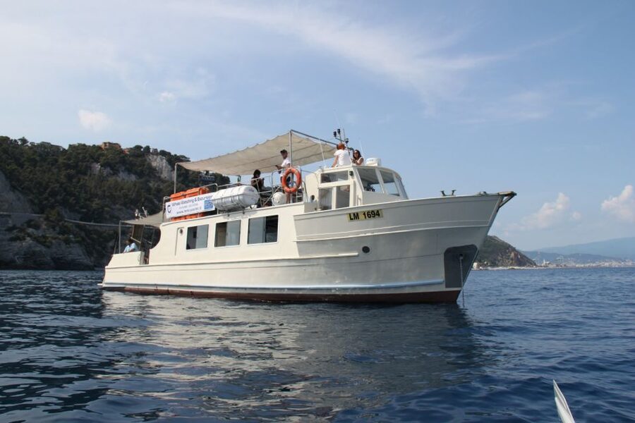 Savona: Pelagos Sanctuary Wildlife Cruise with Guide - Simone and Ettore’s surface scanning, and how you can help