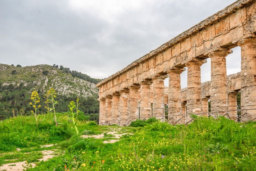 Segesta, Erice and Salt Pans Full-Day Excursion from Palermo - The driver and language support: helpful humans, not just seats