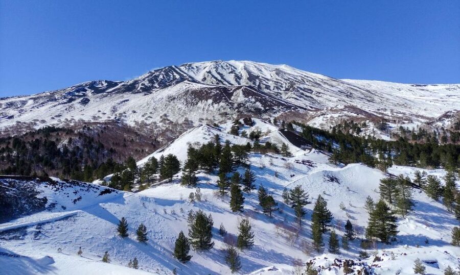 Sicily: Etna and Alcantara Gorges Full-Day Tour with Lunch - Price and Value: Why $105 Makes Sense for This Mix of Stops