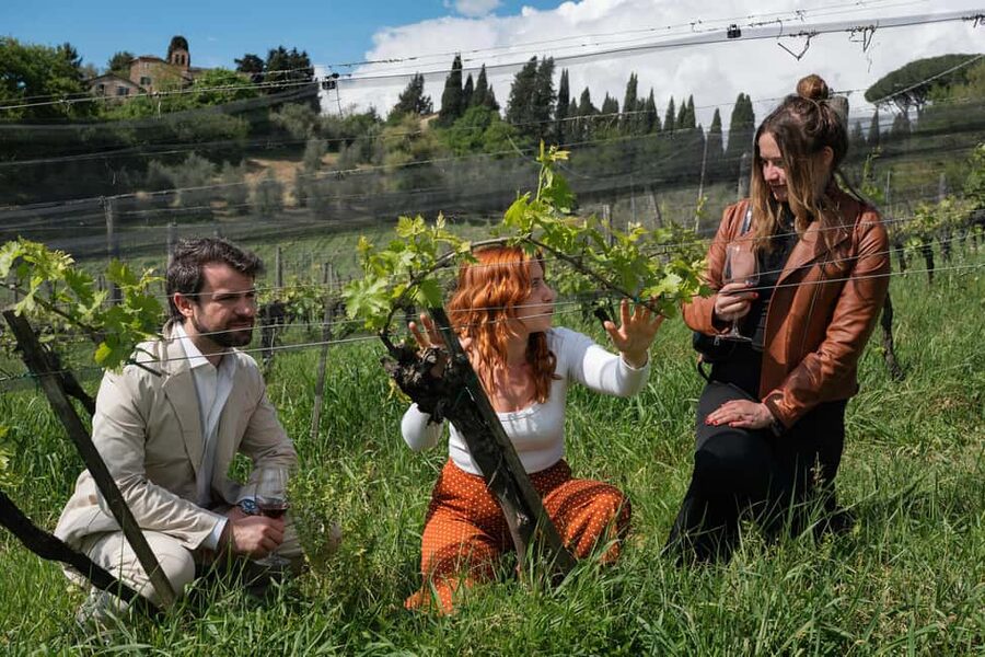 Siena: Educational Wine Tour & Tasting - Vineyards first: seeing the organic agronomic and phenolic cycle