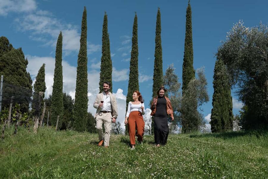 Siena: Educational Wine Tour & Tasting - Light lunch with Tuscan specialties: why pairing is part of the lesson