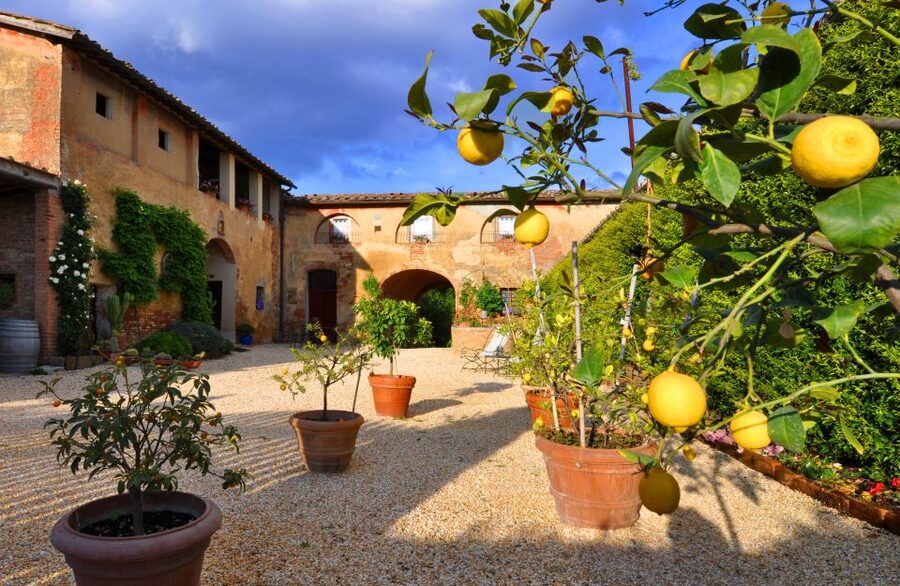 Siena: Educational Wine Tour & Tasting - Who this Siena tour is best for