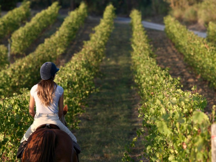 Siena: Horseback Adventure in the Tuscan Countryside - The One-Hour Ride Through Tuscan Hills, Vineyards, and Olive Groves