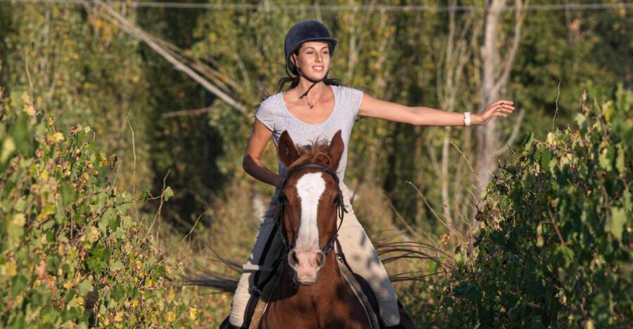 Siena: Horseback Adventure in the Tuscan Countryside - What You Learn Beyond the Views in the Siena Countryside