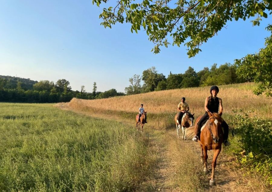 Siena: Horseback Adventure in the Tuscan Countryside - Optional Winery Stops and That Home-Cooked Meal Feeling