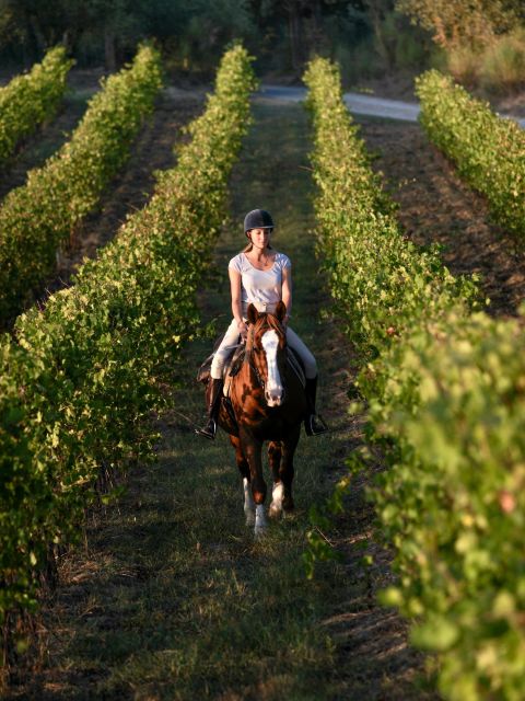Siena: Horseback Adventure in the Tuscan Countryside - Duration, Timing, and What a Typical Day Feels Like