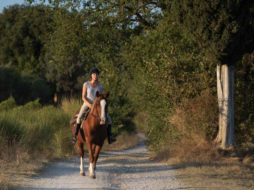Siena: Horseback Adventure in the Tuscan Countryside - Languages, Small-Group Size, and How Much Attention You Get