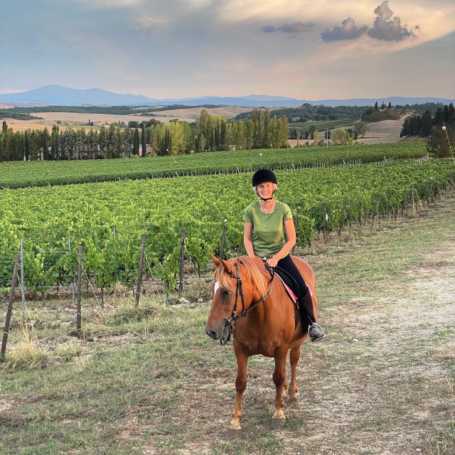 Siena: Horseback Adventure in the Tuscan Countryside - Safety and Riding Confidence, Even If You Are a First-Timer