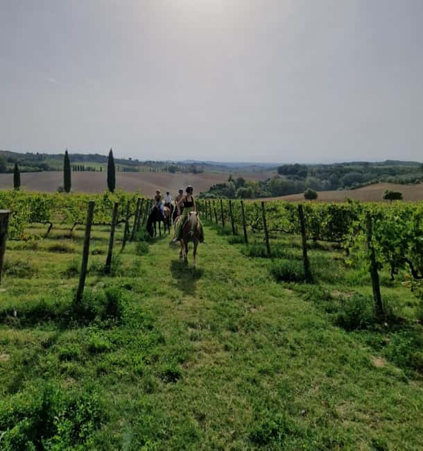 Siena: Horseback Riding Tour in the Tuscany Countryside - Why Horseback From Siena Feels Like the Right Kind of Tuscan Day