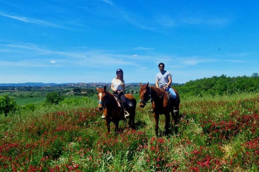 Siena: Horseback Riding Tour in the Tuscany Countryside - The Pre-Ride Training, Helmets, and Protections
