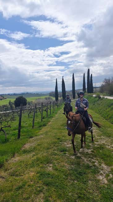 Siena: Horseback Riding Tour in the Tuscany Countryside - The 1.5-Hour Ride: What the Route Feels Like