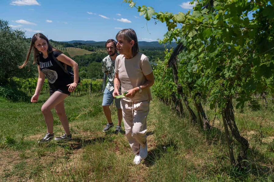 Siena: Organic Winery Tour and Wine Tasting - Price and value: why $88 can feel fair here