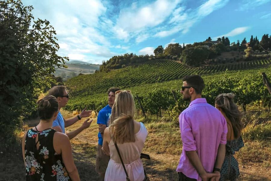 Siena: Organic Winery Tour and Wine Tasting - Meeting point in Siena: St. della Befana n. 5