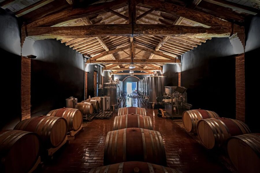 Siena: Organic Winery Tour and Wine Tasting - The tasting room: 5 organic wines, taught with your senses