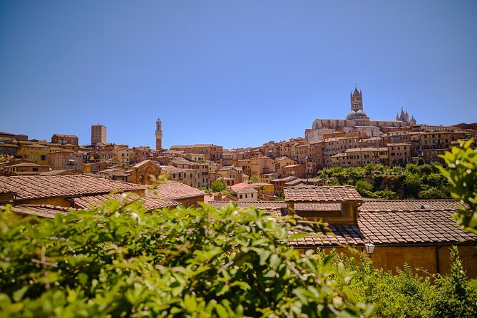 Siena, San Gimignano and Chianti Wines Day Tour from Florence - Meeting at Piazzale Montelungo, then into the Tuscan hills