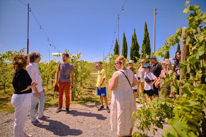 Siena, San Gimignano and Chianti Wines Day Tour from Florence - Monteriggioni: quick hilltop fortress time, photos included