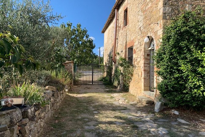 Siena: Small Group Cooking Class in Chianti Farmhouse - What You Make: Pici, Starters, Ravioli, and Tiramisu