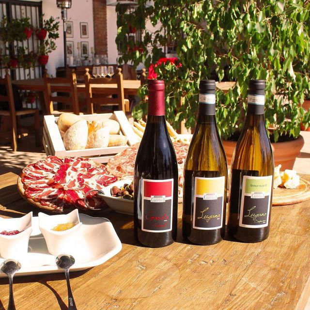 Sirmione: Vineyard Tour with Lugana Wines and Local Tastings - Price and value for money in a 90-minute wine-and-food session