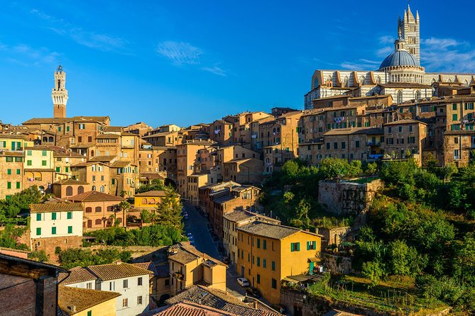 Skip the Line: Siena Duomo and City Walking Tour - Why a fast Duomo ticket matters more than you think