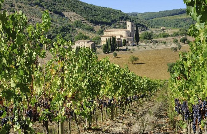 Small-Group Brunello di Montalcino Wine-Tasting Trip from Siena - Quick reasons to book this Brunello day trip