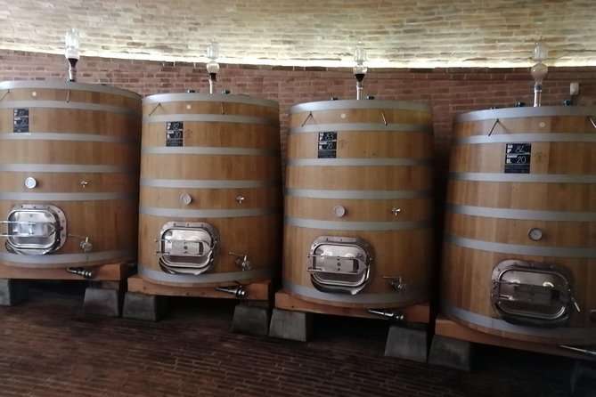 Small-Group Brunello di Montalcino Wine-Tasting Trip from Siena - Stop 1: Vineyard walk, cellars, and your first Brunello comparison