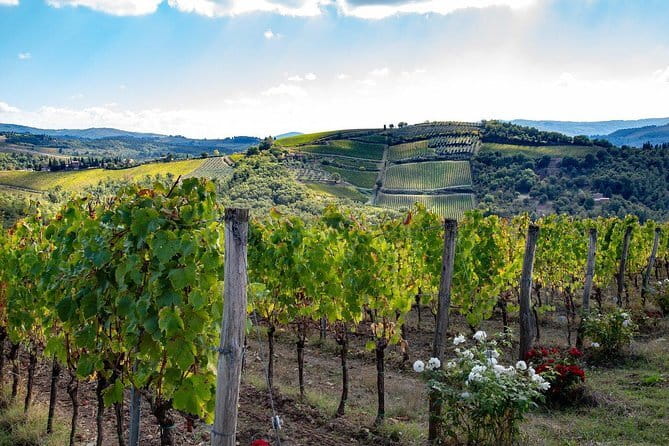 SMALL-GROUP Wine Safaris: Tuscan Wine Tasting Tours from Florence - Key highlights you can plan around