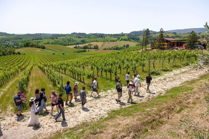 SMALL-GROUP Wine Safaris: Tuscan Wine Tasting Tours from Florence - Val d’Orcia wine safari: Brunello and Montepulciano in a very scenic part of Tuscany