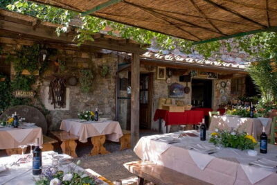 SMALL-GROUP Wine Safaris: Tuscan Wine Tasting Tours from Florence