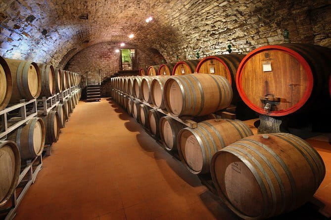 Small-Group Wine Tasting Experience in the Tuscan Countryside - Stop 1: The first Chianti Classico winery and your olive-oil tasting