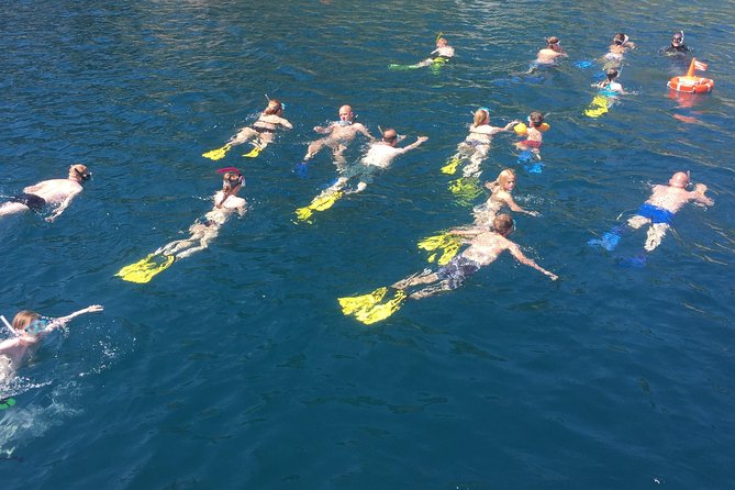 Snorkeling Tour Coast to Coast Taormina and Isola Bella - Stop 2: another bay, another look at the seabed