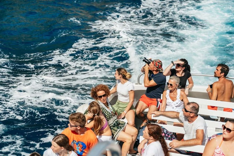 Sorrento: Coast and Capri Boat Trip with Limoncello Tasting - Price and value: what you get for $81