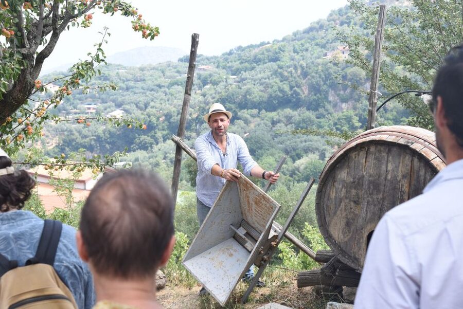 Sorrento: Farm Tour with Cheese Tasting & Pizza Making Class - Primaluce Farm Tour: Why this Sorrento food day feels different