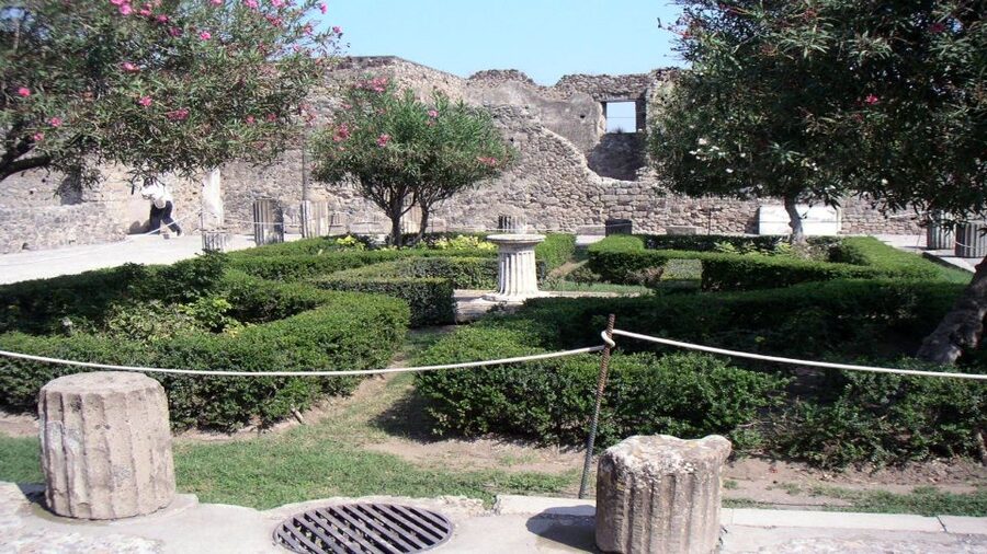 Sorrento: Pompeii & Herculaneum Tour with Skip-the-Line - Lunch, comfort, and what to pack for a hot 8-hour day