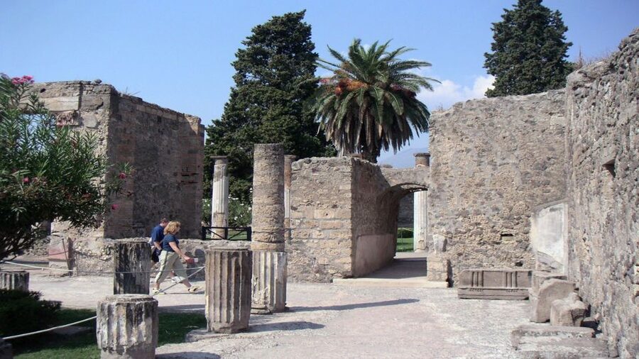 Sorrento: Pompeii & Herculaneum Tour with Skip-the-Line - Price and value: is $168.79 a fair deal?