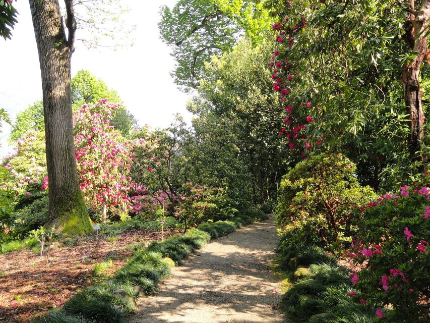 Stresa: 3 Borromean Islands Boat Tour - Who this boat tour suits best (and when to skip)
