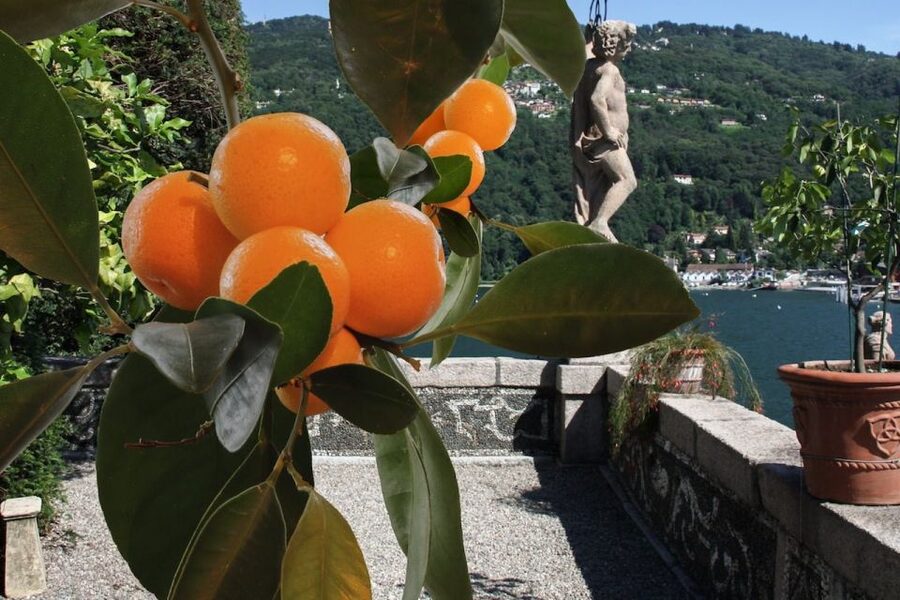 Stresa: Isola Bella Hop-on Hop-off Boat Tour - On Board Experience: Modern Boats and Easy Interpretive Help